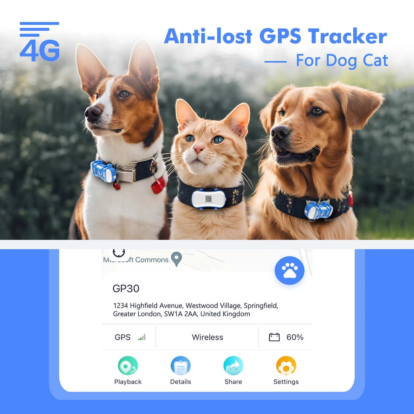 4G Dog Cat GPS Tracker Waterproof Smart Locator With App