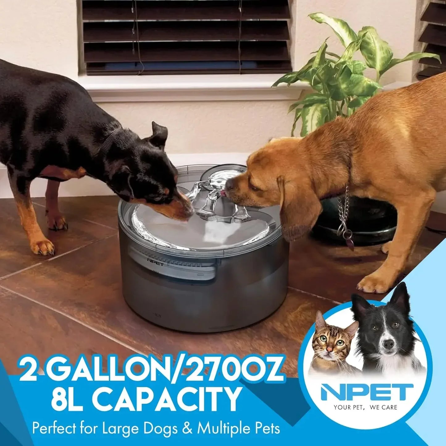 NPET 2 Gallon Dog Water Fountain With Splatter Guard