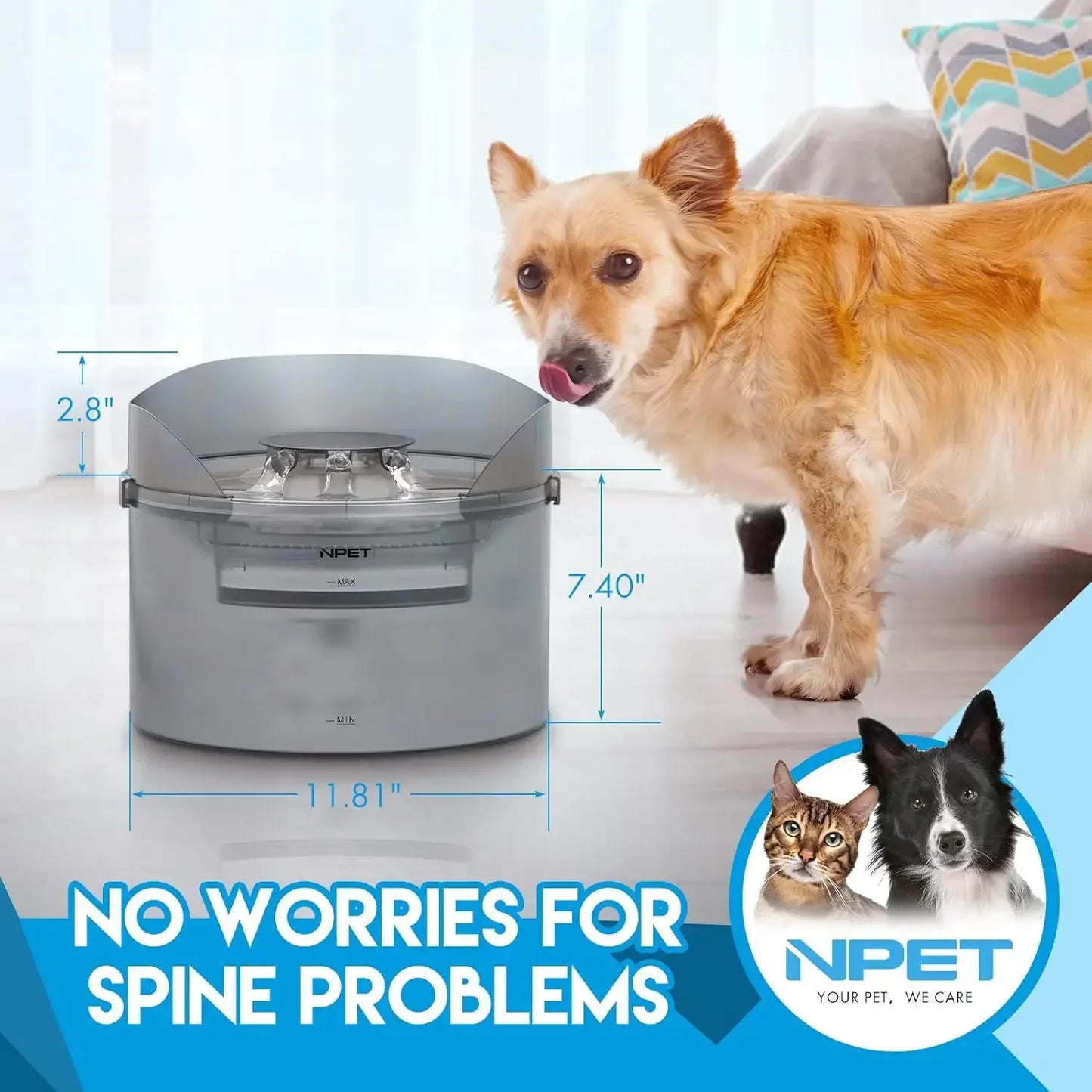 NPET 2 Gallon Dog Water Fountain With Splatter Guard